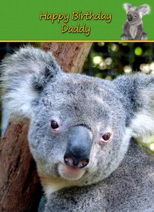 Personalised Koala Bear Card
