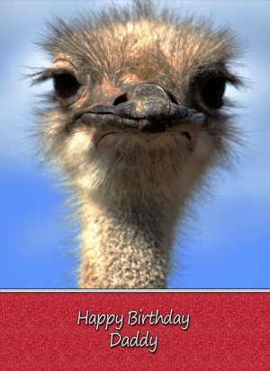 Personalised Ostrich Card