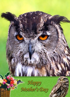 Owl Mother's Day Card