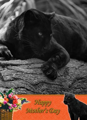 Black Panther Mother's Day Card