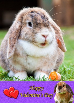 Rabbit Valentine's Day Card