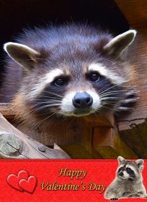 Raccoon Valentine's Day Card