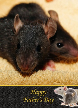Rat Father's Day Card