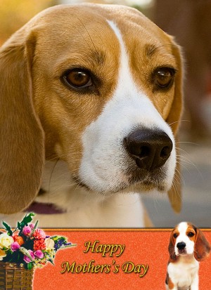 Beagle Mother's Day Card