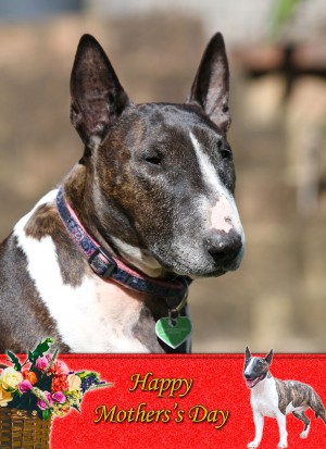 English Bull Terrier Mother's Day Card