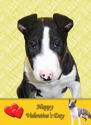 English Bull Terrier Valentine's Day Card