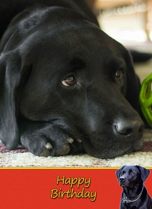 Personalised Black Labrador Card