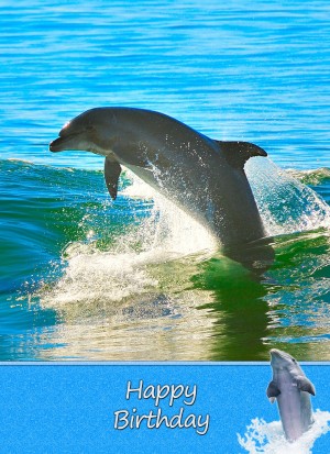 Dolphin Birthday Card