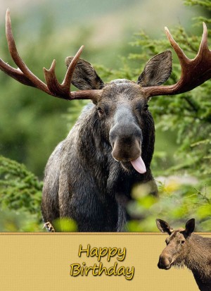 Moose Birthday Card
