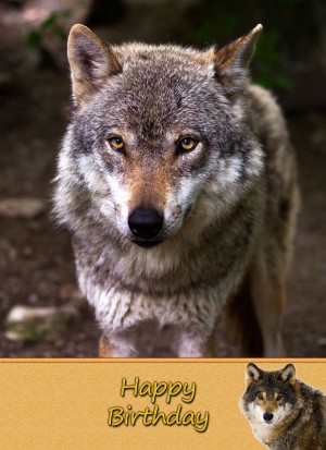 Wolf Birthday Card
