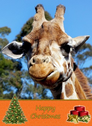 Giraffe christmas card