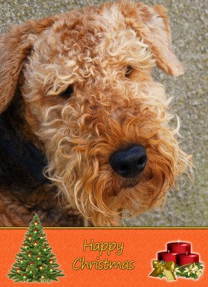 Airedale Christmas Card