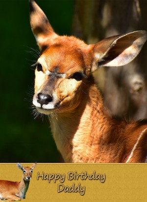 Personalised Antelope Card