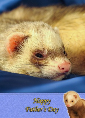 Ferret Father's Day Card