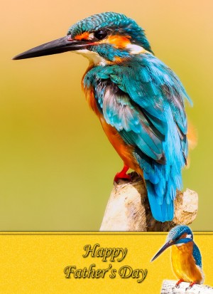 Kingfisher Father's Day Card