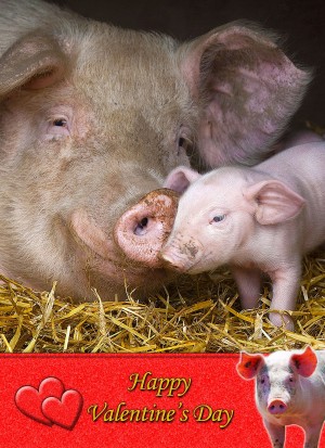 Pig Valentine's Day Card