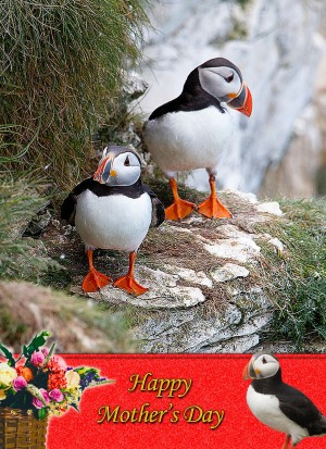 Puffin Mother's Day Card