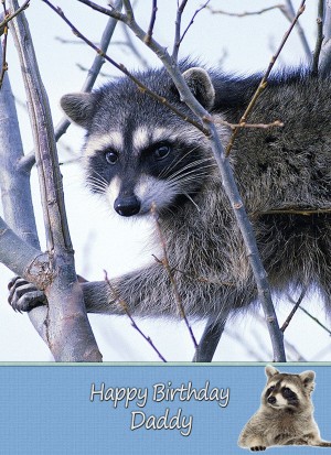 Personalised Raccoon Card