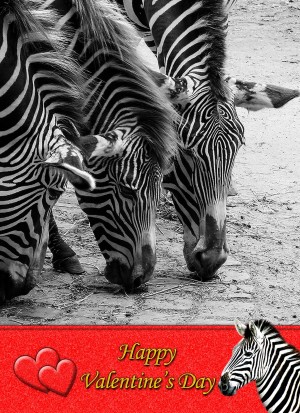 Zebra Valentine's Day Card