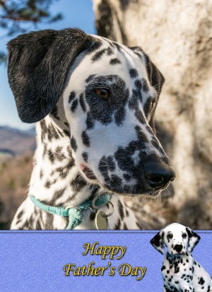 Dalmatian Father's Day Card