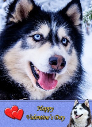 Husky Valentine's Day Card