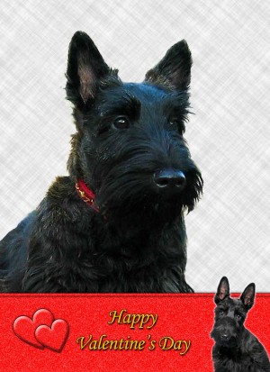 Scottish Terrier Valentine's Day Card