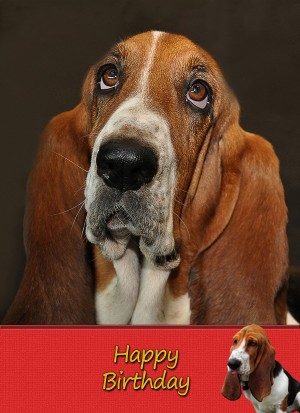 Basset Hound Dog Birthday Card