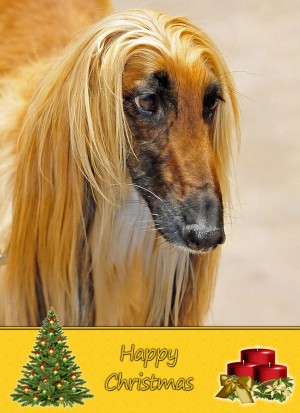 Afghan Hound Christmas Card