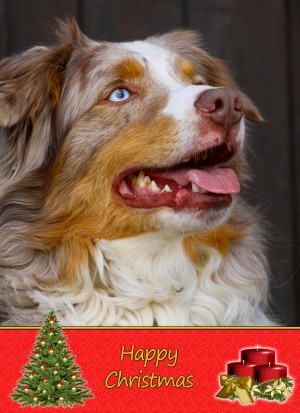 Australian Shepherd Christmas Card
