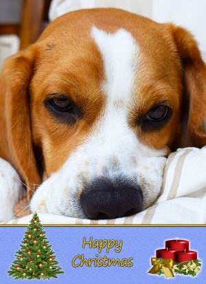 Beagle Christmas Card