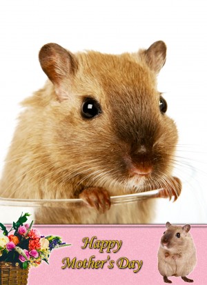 Gerbil Mother's Day Card