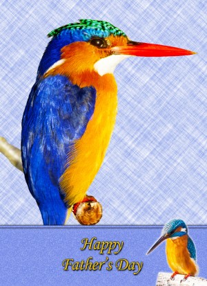 Kingfisher Father's Day Card