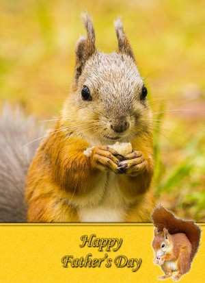 quirrel Father's Day Card