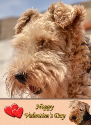 Airedale Terrier Valentine's Day Card