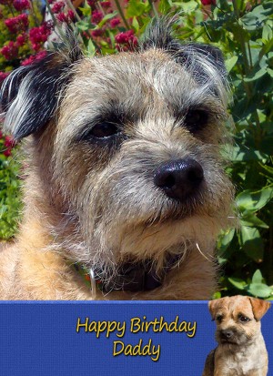 Personalised Border Terrier Card