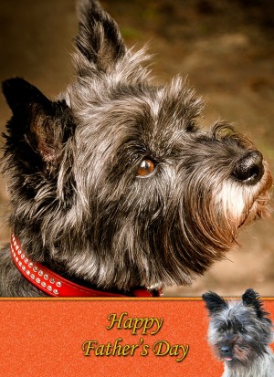 Cairn Terrier Father's Day card