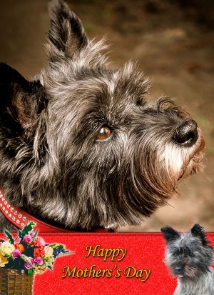 Cairn Terrier Mother's Day Card