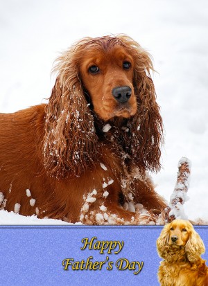Cocker Spaniel Father's Day Card