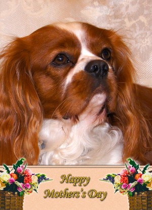 Cavalier King Charles Spaniel Mother's Day Card