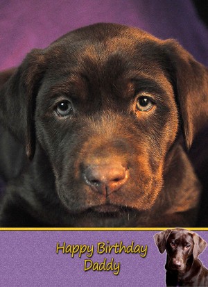 Personalised Chocolate Labrador Card