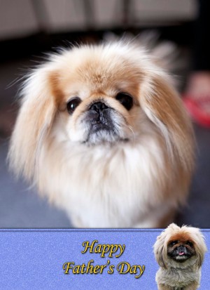 Pekingese Father's Day Card