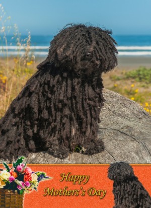 Hungarian Puli Mother's Day Card