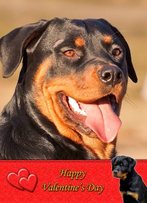 Rottweiler Valentine's Day Card