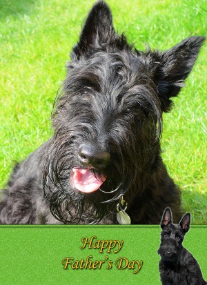 Scottish Terrier Father's Day Card