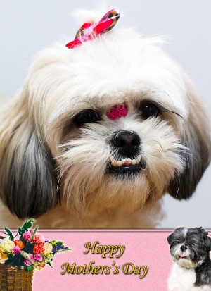 Shih Tzu Mother's Day Card