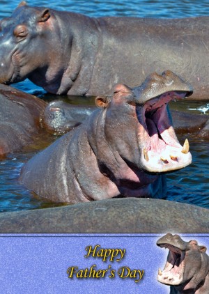 Hippo Father's Day Card