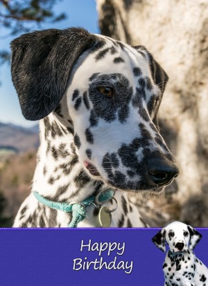 Dalmatian Birthday Card