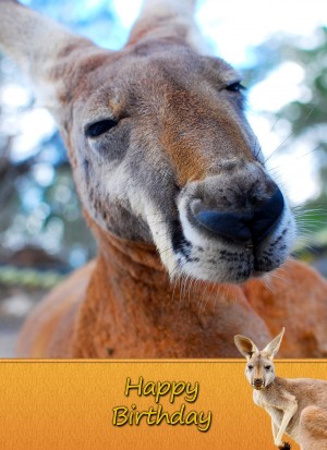 Kangaroo Birthday Card