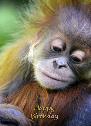 Orangutan Birthday Card