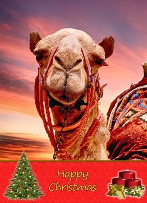Camel christmas card